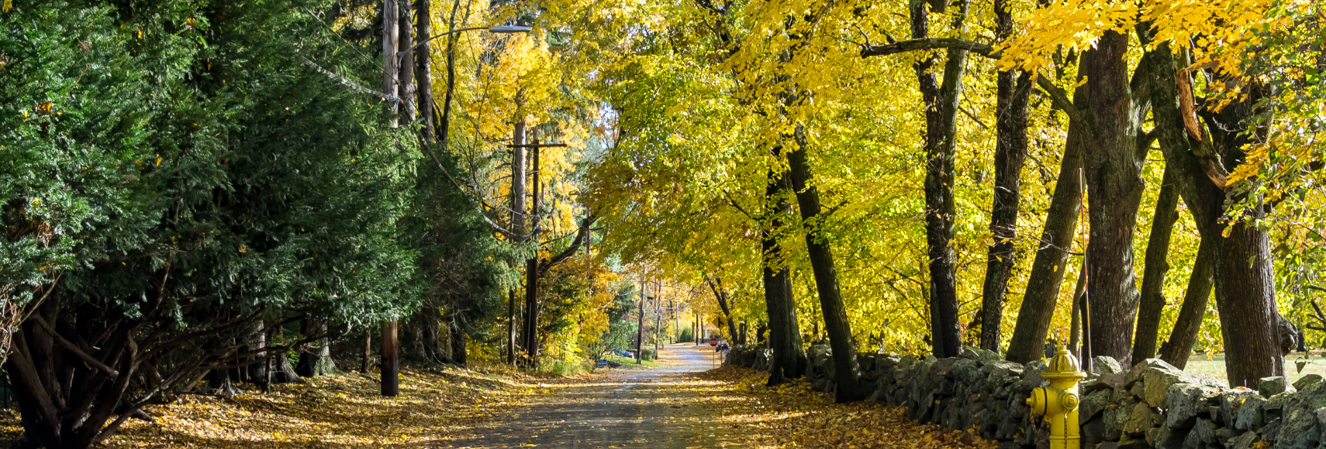 Anytown USA 005 1920X650x